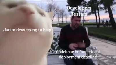 The vibe at my job this week