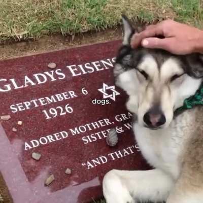 The eyes, they never lie✨