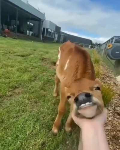 Lovin' the chin scratches