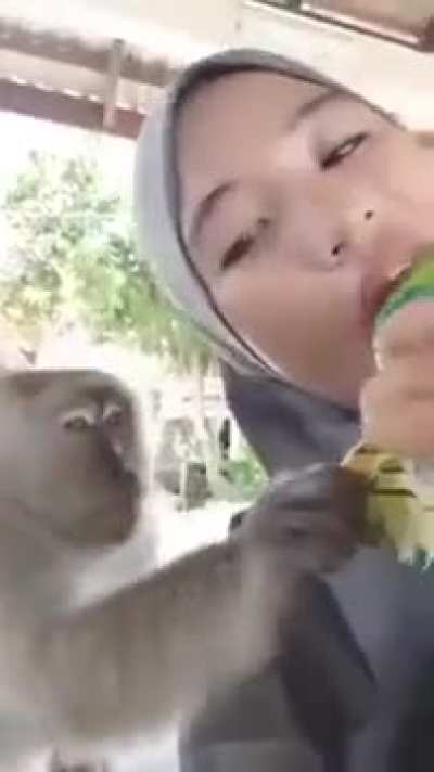 Monkey love 🥰 south east 🤞