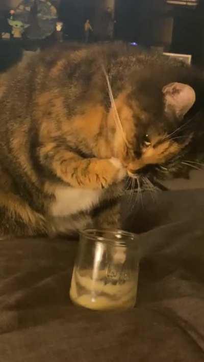 Must. Get. Every. Last. Bit. (Volume up for best experience)