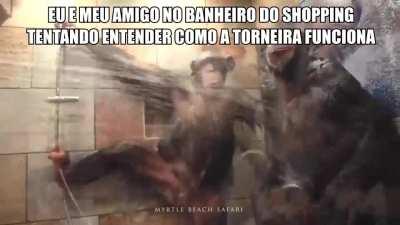 Mucalol e greninja em shopping de rico