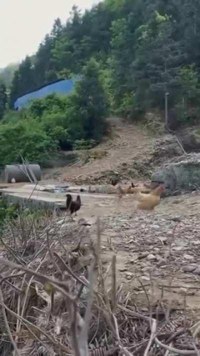 It's time for dinner...🍽️😅