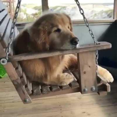 Sittin' on the dock of the Bay... watchin' the tiiiide roll away