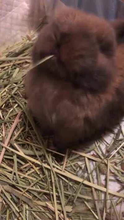 “I’m trynna eat here”