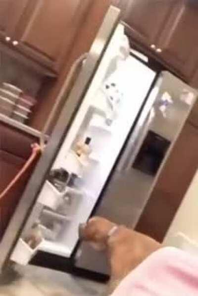 He teaches his dog to fetch beer @boone_the_beer_getter on IG