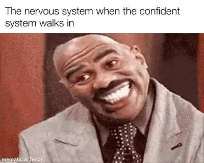 the sexy system 🤌