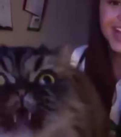 girl trained her vocals..