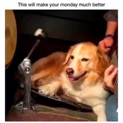 Perfect tempo, perfect bandmate