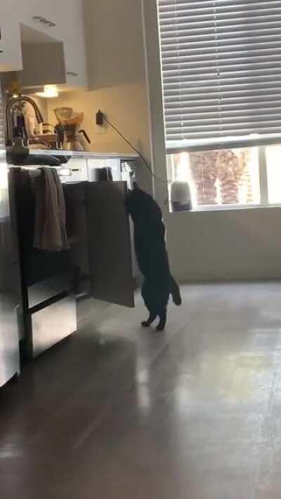 Porter learned a new trick.