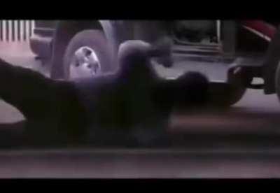 Absolutely necessary move in a car chase