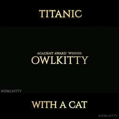 The editing skills are just.. Wow! (source Owlkitty)