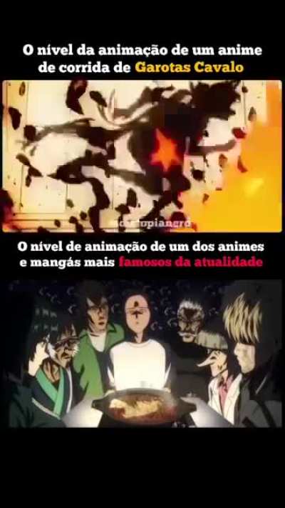 Cavalas lindas não e?