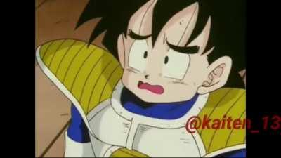 Liberaram as cameras: