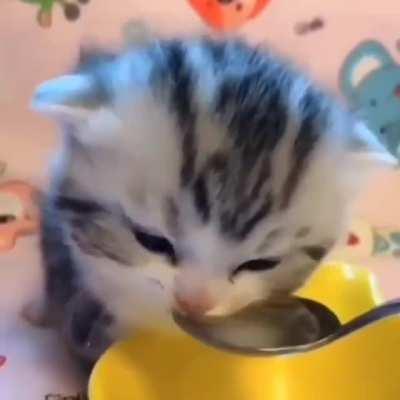 Aaaaw that's so adorable