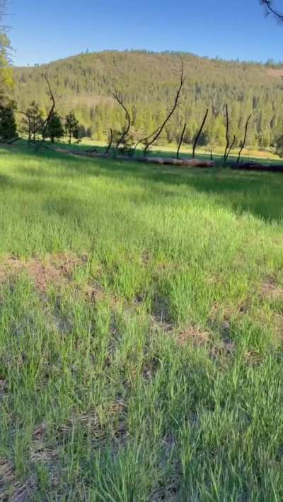 Sunset hikes make life better