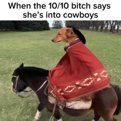 Title barks in southern accent