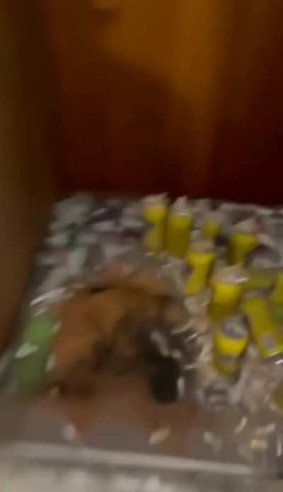 The landlord decided to check on the flat he was renting.