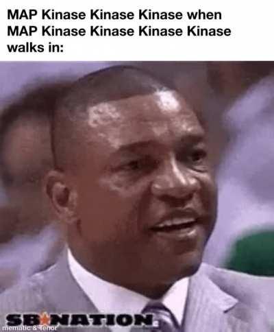 Not lore accurate but still