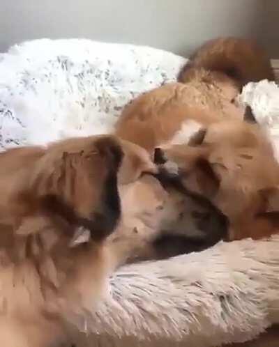 Friends bonding together