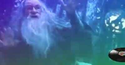 Happy New Year! Gandalf is a big fan!