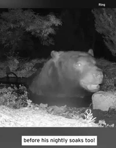 When a bear has bath midnight bathy