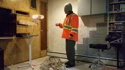 This parrot reacting to its cage being destroyed