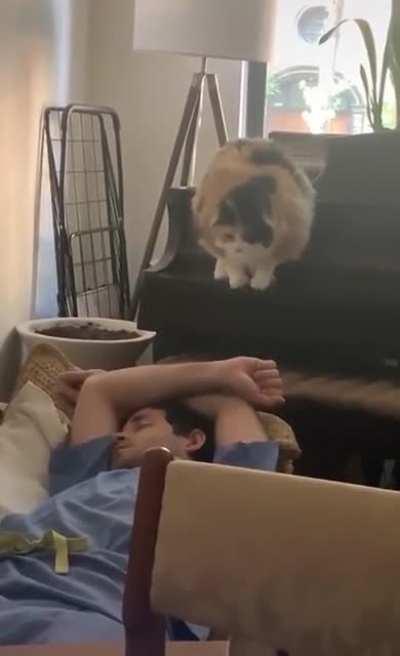 Oh what happened? Anyway now that you’re up, can you feed me?