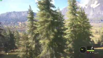 Has anyone done this?