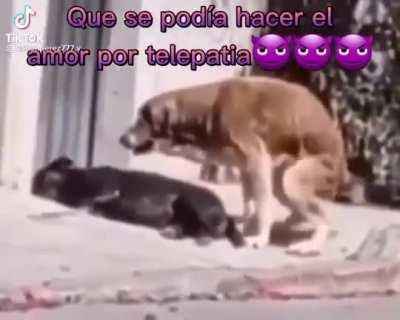 quien lo diria???🥵🥵🥵