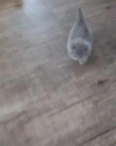 This kit has a need for speed