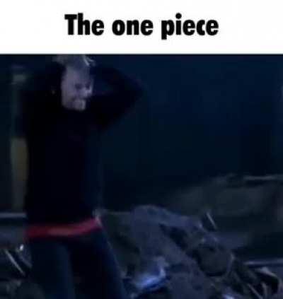 THE ONE PIECE IS REAL