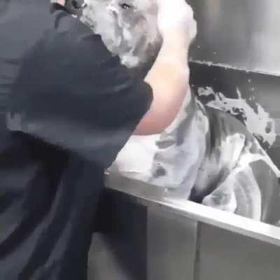 What a gentleman taking his bubble bath