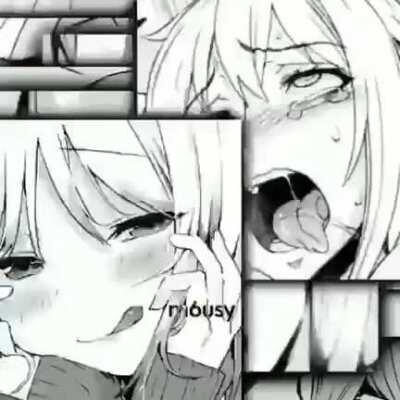 What School Libraries Are For