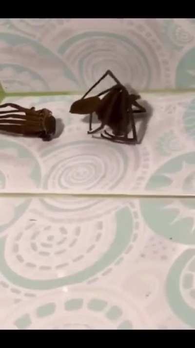 Help me find this song!!!!!