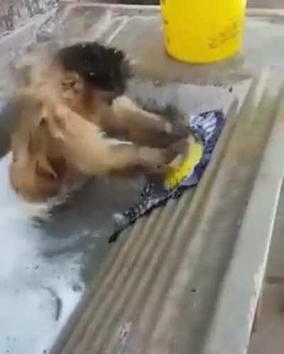 I'm looking for a job