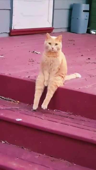 What are you looking at?