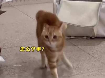 They're crazy and i love them all! 🤣