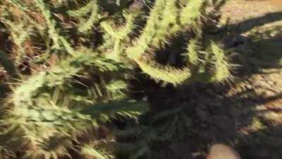 А чего он ожидал?