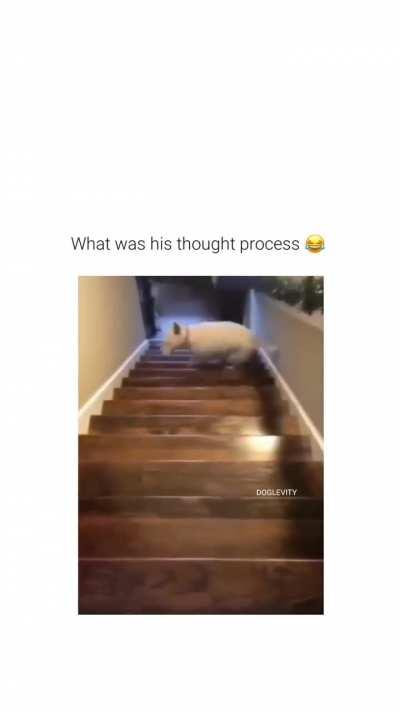 Going down the stairs