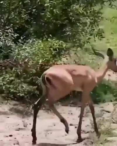 Природа, мать вашу...