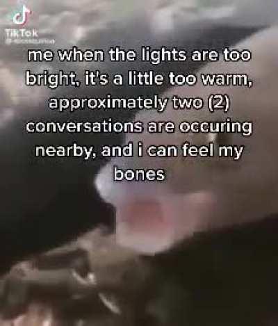 Moldy Overstimulation