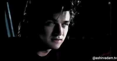 To love is to lose. Steve Harrington Supremacy