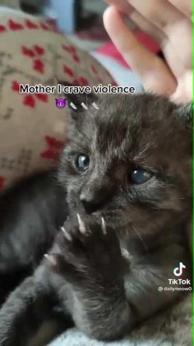 Murder mitten maintenance