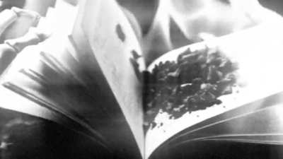 Death is not a costume by Marilyn Manson (Fan Music video)