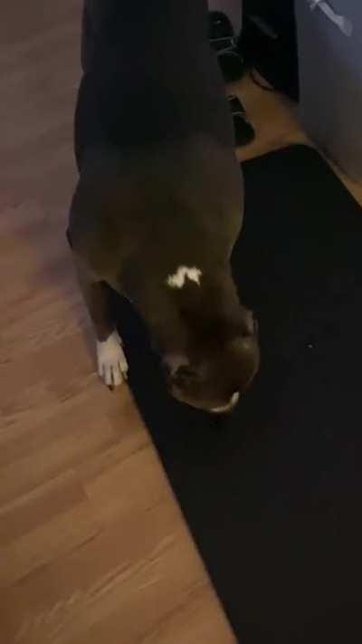 I’m dying laughing at her reaction