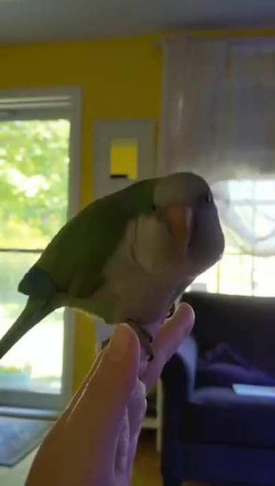 [NSFW] 2020, in a nutshell