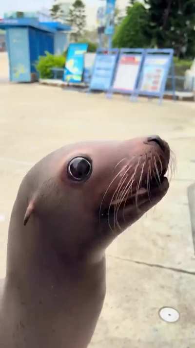 I’ve been saying this for YEARS 👏👏