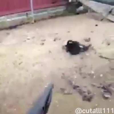 Bioshock video I have no clue when or where I got