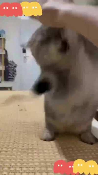 First round...........